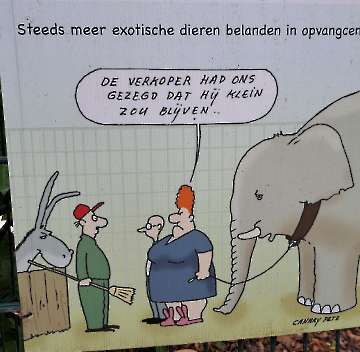 Fietsweekend 29/30 augustus 2026-16